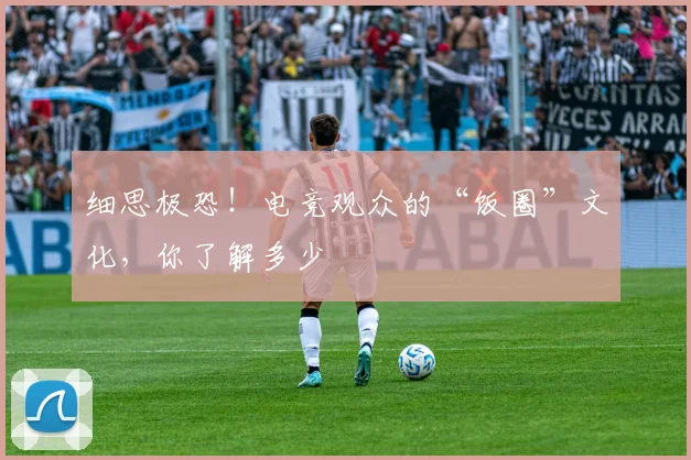 细思极恐!电竞观众的“饭圈”文化,你了解多少