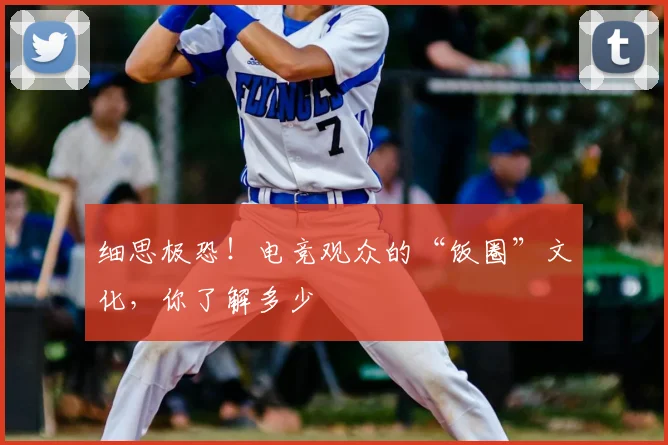 细思极恐!电竞观众的“饭圈”文化,你了解多少