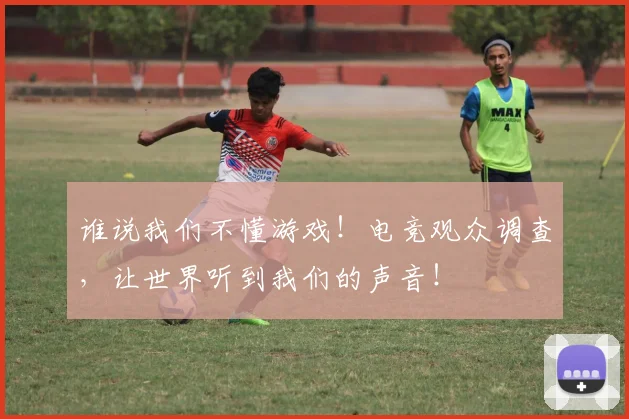 谁说我们不懂游戏!电竞观众调查,让世界听到我们的声音!
